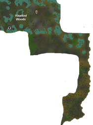Haunted woods