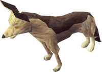 Jackalnew
