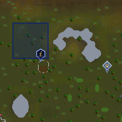 Jungle eagle map location