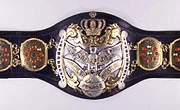 AJPW World Junior Heavyweight Championship Pro Wrestling Wiki Divas