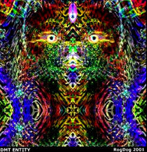 Dmtentity roger essig
