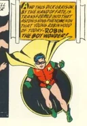 Robin 1