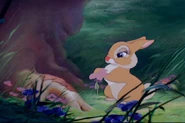 Bambi 329