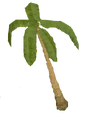 Leafy palm tree.png