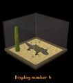 Lizard display.png
