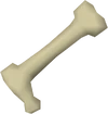 Long bone detail