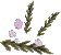 Lowland heather detail