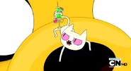 Crop2