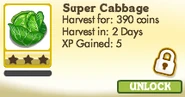 Super Cabbage Locked