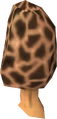 Morchella mushroom detail.png