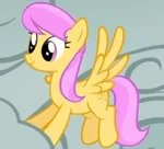 Sun rays.png