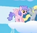 Wing Wishes.png