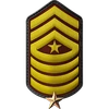 P033