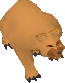 Old angry bear
