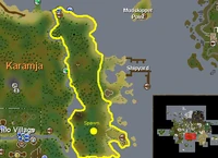 PHS e kara.png