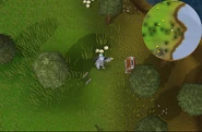 Piscatoris Deposit Box