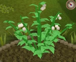 PoisonIvy9