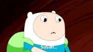 Susan...