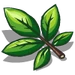 Hickory Leaves-icon.png