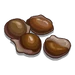 Seeds-icon.png