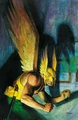 Hawkman 0013