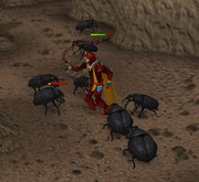 Scarab