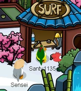 Sensei1.3