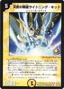 Dm-p61-y8