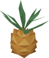 Tenti pineapple detail