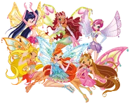Winx Enxhantix