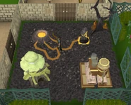 Volcanic habitat built