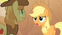 Applejack talks to Braeburn about her missing friends S1E21