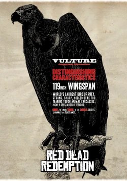 Vulture