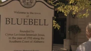 Bluebellsign