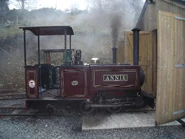 Annie On Shed