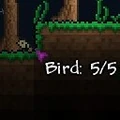 Bird.jpg