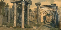 Forum of the Ox Database image