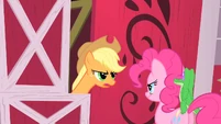 Applejack and Pinkie2 S01E25