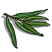 Eucalyptus Leaf-icon.png