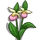 Lady Slipper-icon