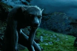 250px-Werewolf