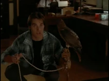 Joe and bird