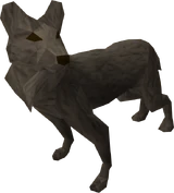 Wild dog