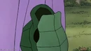 Toby hiding in his shell