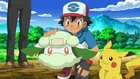 Cottonee junto a Ash