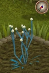 Woad4