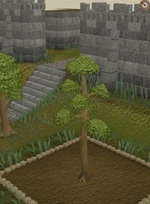Yew4