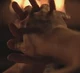 FinchelOneHand