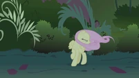 Fluttershy cries "Wait!" when Rainbow Dash zooms by S1E02
