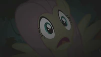 Fluttershy scared S01E02
